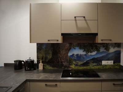 Apartment 4- Personenwohnung - Features photo 7