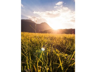 Apartment Apartment Lebens.Traum - Outdoor photo 6