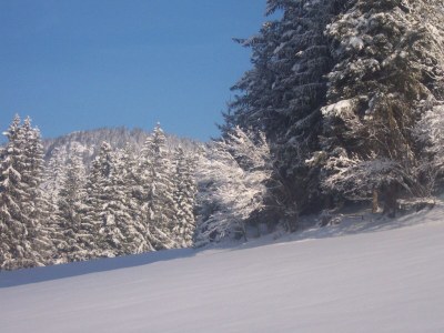 Apartment Ferienwohnung Buchenstein - Outdoor photo 6