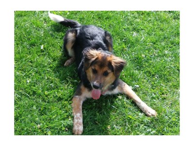 Apartment Ferienwohnung Buchenstein - Outdoor photo 16