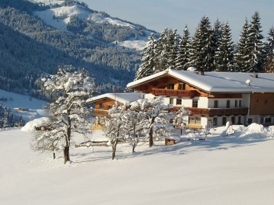 Apartment Ferienwohnung Spielberg in Fieberbrunn - Apartment