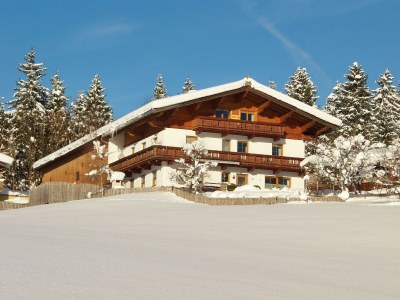 Apartment Ferienwohnung Spielberg - Outdoor photo 2