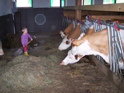 Apartment Ferienwohnung Spielberg - Outdoor photo 19