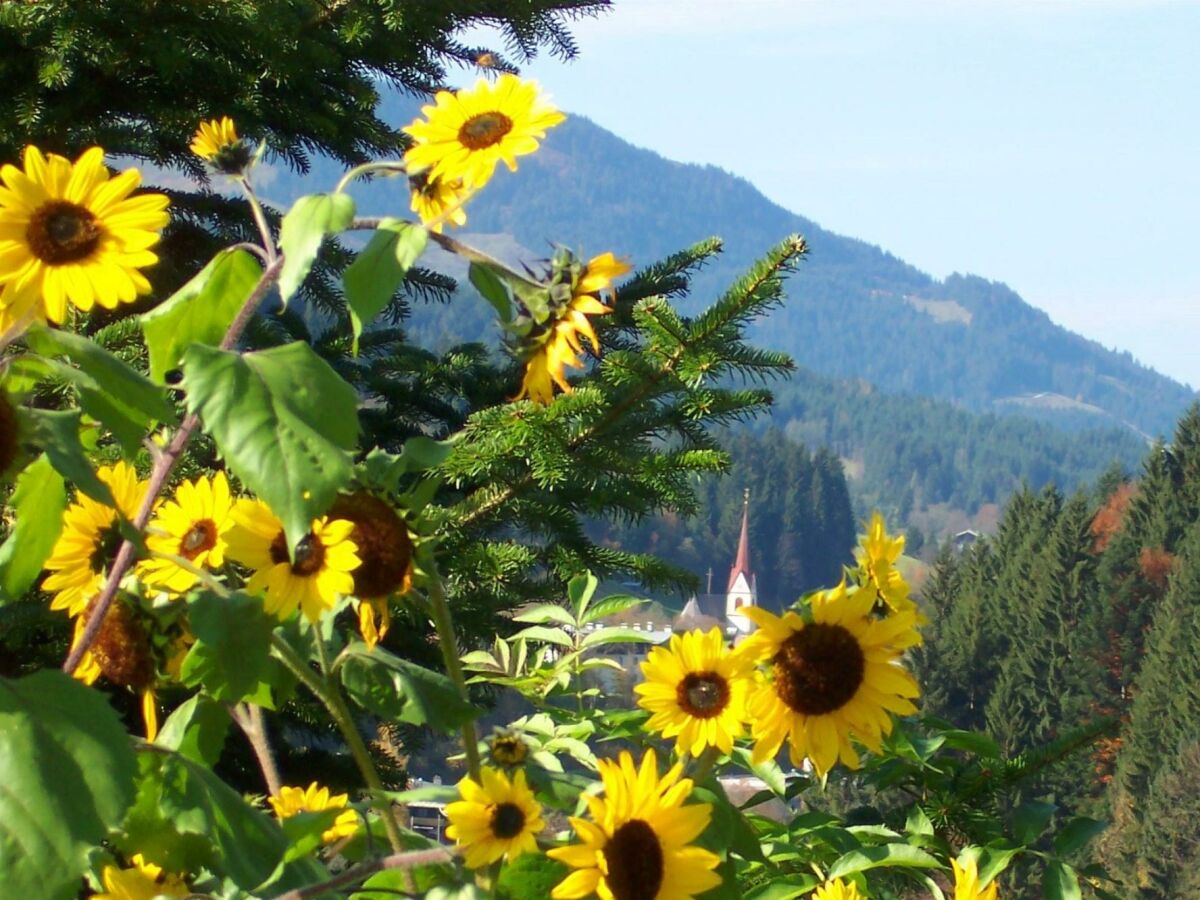 Apartment 5-Personenwohnung Nr. 2 - Outdoor photo 4