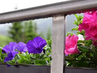 Apartment 5-Personenwohnung Nr. 4 - Features photo 26