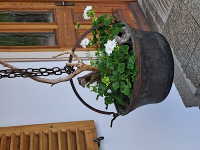 Apartment Ferienhaus "Schneiderhäusl" - Outdoor photo 14