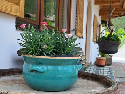 Apartment Ferienhaus "Schneiderhäusl" - Outdoor photo 15