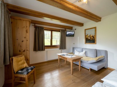 Apartment Ferienhaus "Schneiderhäusl" - Features photo 23