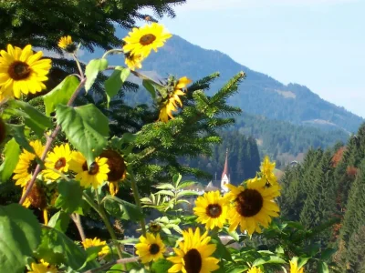 Apartment 4-Personenwohnung Nr. 6 - Outdoor photo 4