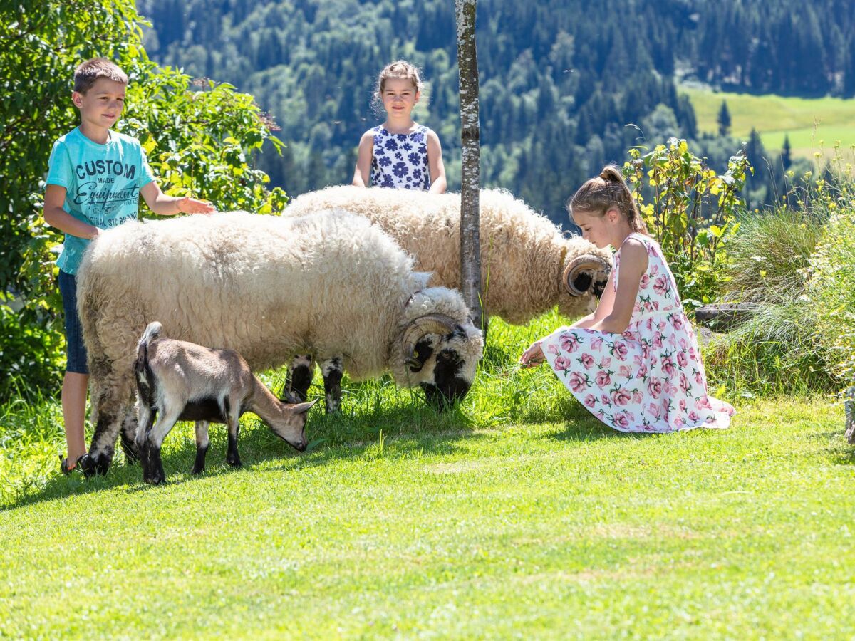 Apartment 2 Personenwohnung "Wildseeloder" - Outdoor photo 2