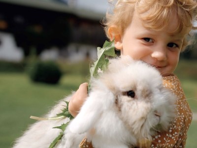 Apartment 2 Personenwohnung "Wildseeloder" - Outdoor photo 19