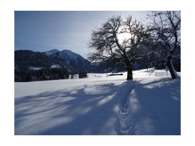 Apartment Buchenstein - Outdoor photo 6