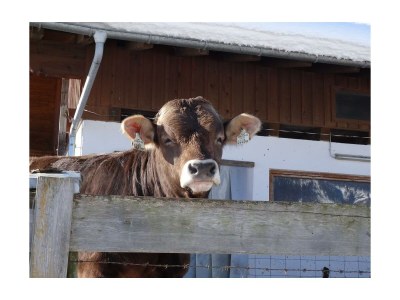 Apartment Buchenstein - Outdoor photo 7