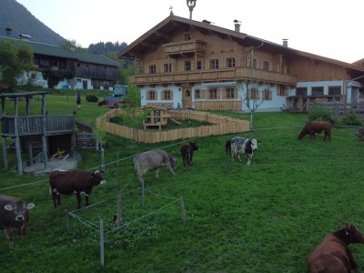 Apartment Buchenstein - Outdoor photo 21