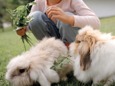 Apartment Buchenstein - Outdoor photo 23