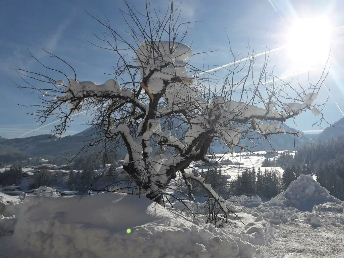 Apartment 2-6 Personenwohnung - Outdoor photo 3