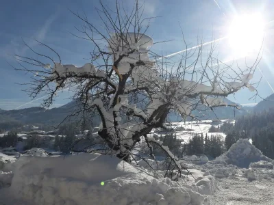 Apartment 2-6 Personenwohnung - Outdoor photo 3