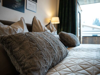 Apartment Ferienwohnung Panorama - Features photo 60