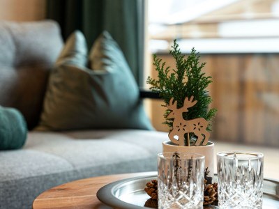 Apartment Ferienwohnung Panorama - Features photo 61