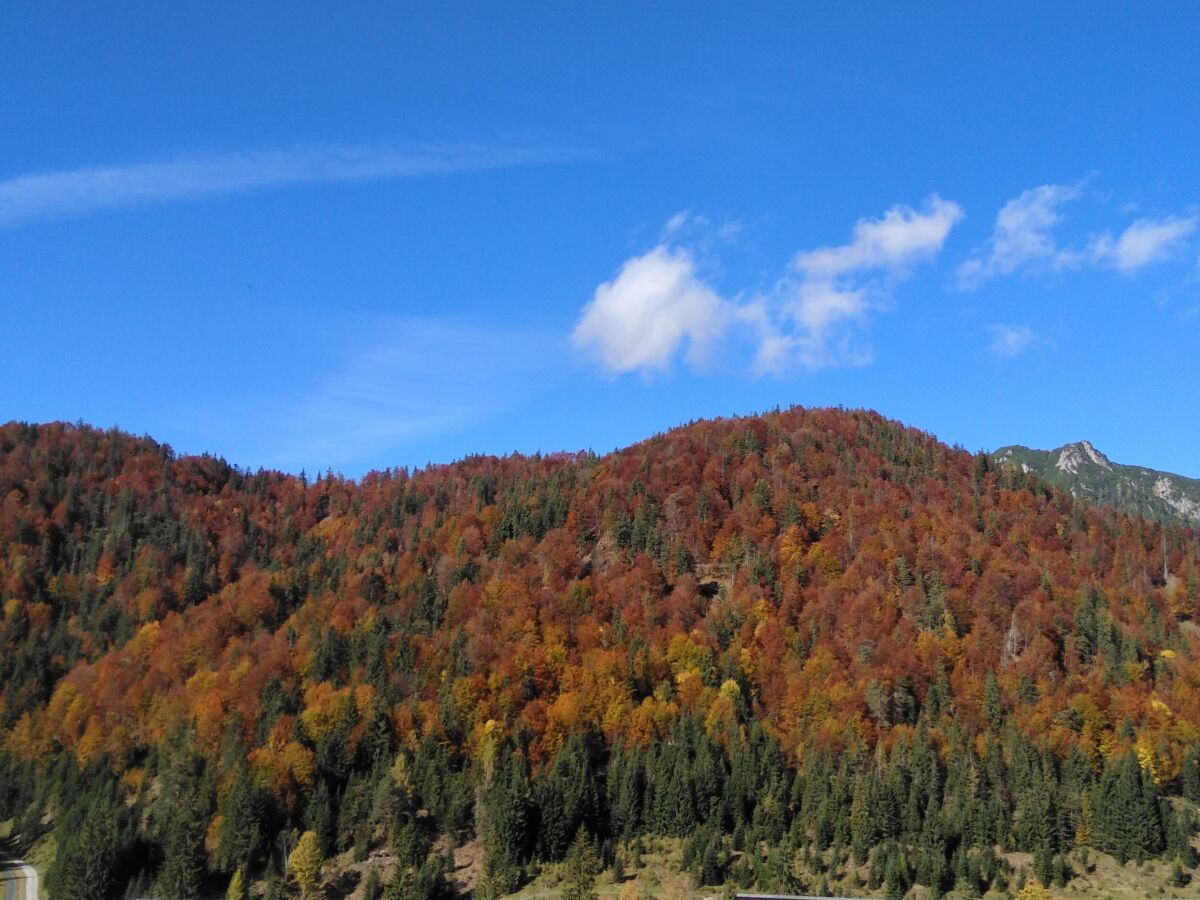 Apartment Ferienhaus Herrngasse - Outdoor photo 5