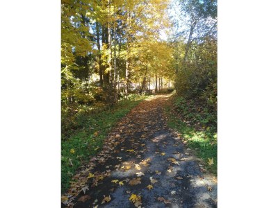 Apartment Ferienhaus Herrngasse - Outdoor photo 8