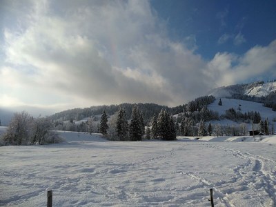 Apartment Ferienhaus Herrngasse - Outdoor photo 14