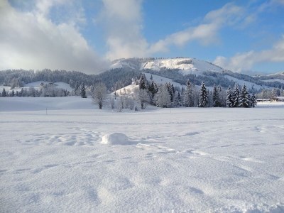 Apartment Ferienhaus Herrngasse - Outdoor photo 15