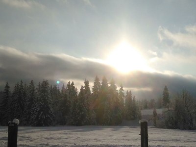 Apartment Ferienhaus Herrngasse - Outdoor photo 16