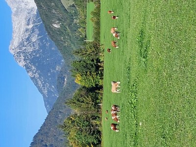 Apartment Ferienhaus Herrngasse - Outdoor photo 18