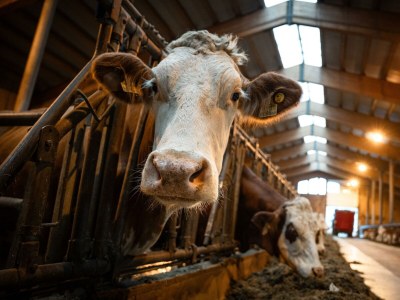 Apartment Ferienhaus Herrngasse - Outdoor photo 32