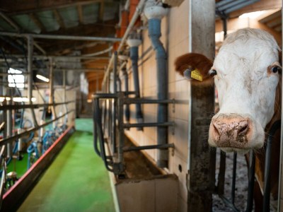 Apartment Ferienhaus Herrngasse - Outdoor photo 33