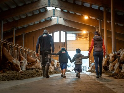 Apartment Ferienhaus Herrngasse - Outdoor photo 35