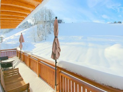 Apartment Appartement mit Balkon und Zugang zum Pool - Features photo 24