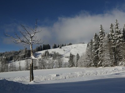 Apartment 7-Personenwohnung "Anna" - Outdoor photo 10