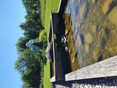 Apartment 4-Personenwohnung  - Wildseeloder - Outdoor photo 19