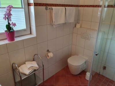 Apartment 4-Personenwohnung - Loferer Steinberge - Features photo 27