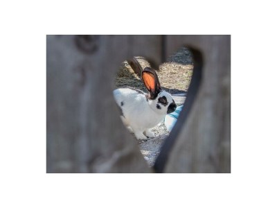 Apartment Ferienhaus, Dusche, WC, 3 Schlafräume - Outdoor photo 9