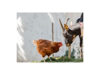 Apartment Appartement Kaiserblick - Outdoor photo 8