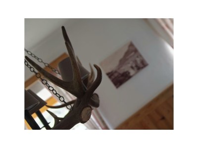 Apartment Appartement Kaiserblick - Outdoor photo 14