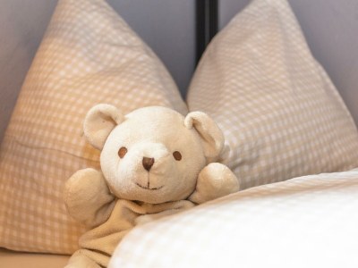 Apartment Ferienwohnung Kaisertenne - Features photo 37