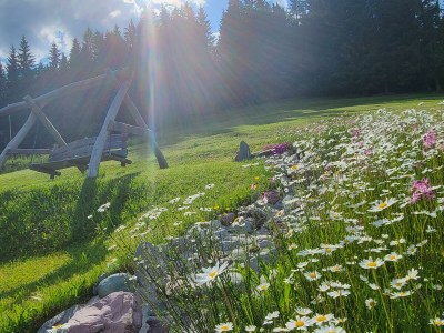 Apartment 3-5 Personenwohnung, 60 m², No.3, Heublume - Outdoor photo 8