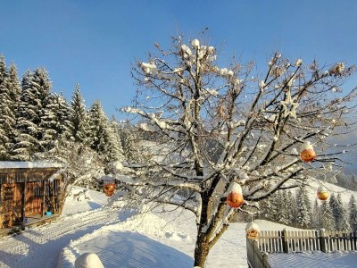 Apartment 3-5 Personenwohnung, 60 m², No.3, Heublume - Outdoor photo 23