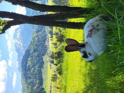 Apartment 2-Pers. Whg., 30 m², No.2, Bergfriede - Outdoor photo 18