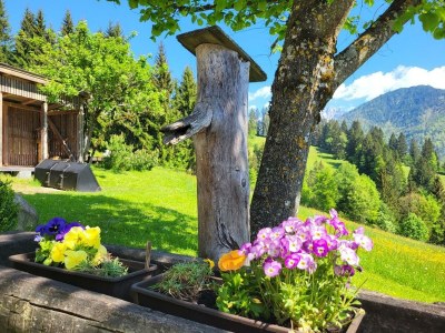 Apartment 2-Pers. Whg., 30 m², No.2, Bergfriede - Outdoor photo 26