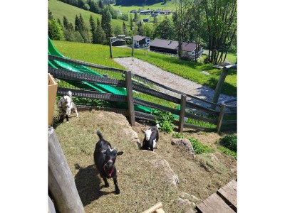 Apartment 2-Pers. Whg., 30 m², No.2, Bergfriede - Outdoor photo 30