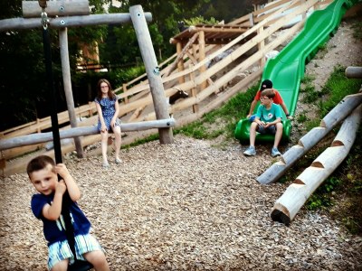 Apartment Chaletwohnung Almrose - Outdoor photo 20