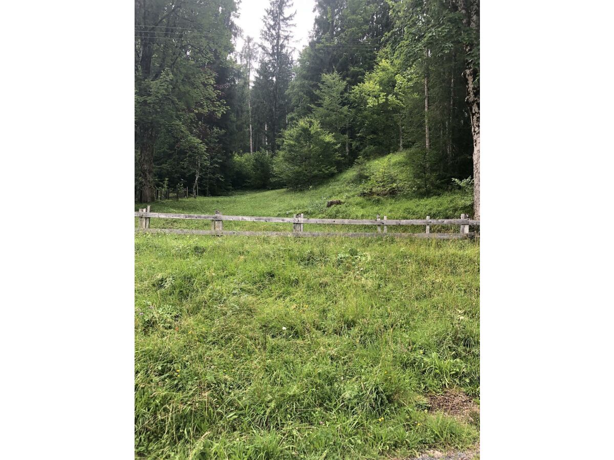 Apartment Appartement Steinberg - Outdoor photo 2