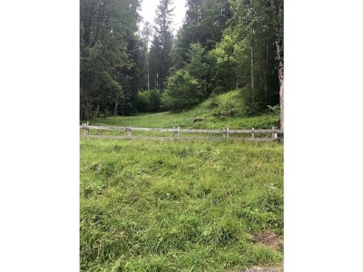 Apartment Appartement Steinberg - Outdoor photo 2