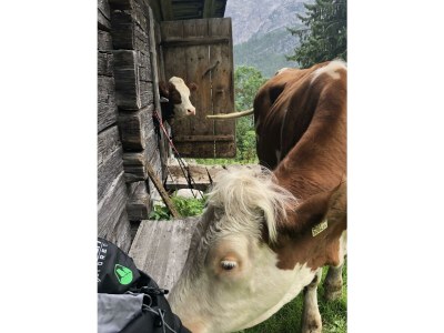 Apartment Appartement Steinberg - Outdoor photo 15