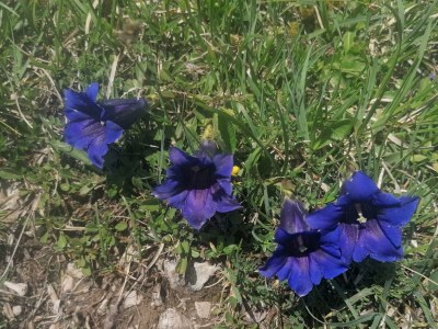 Apartment Appartement Steinberg - Outdoor photo 23